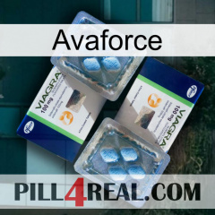 Avaforce viagra5